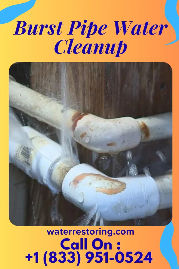 Burst Pipe Water Cleanup in Bern, KS