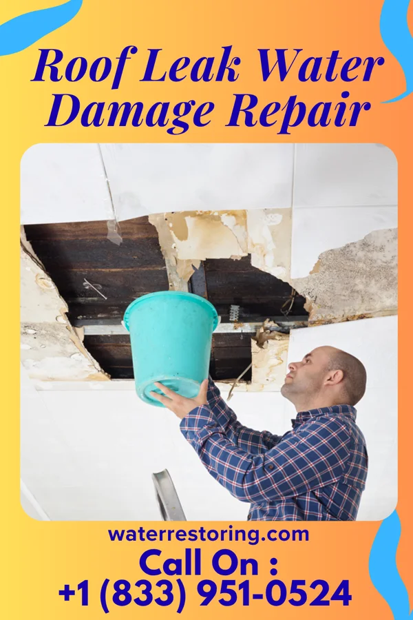 Roof Leak Water Damage Repair in Bern, KS