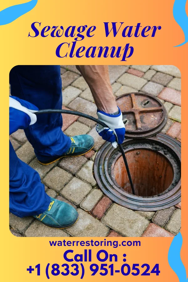 Sewage Water Cleanup in Bern, KS